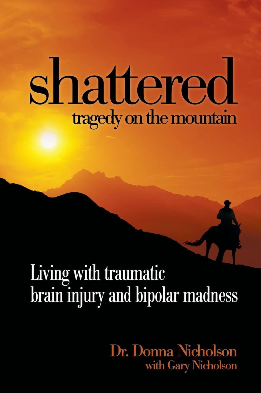 Shattered: Tragedy on the Mountain - Living with Traumatic Brain Injury and Bipolar Madness