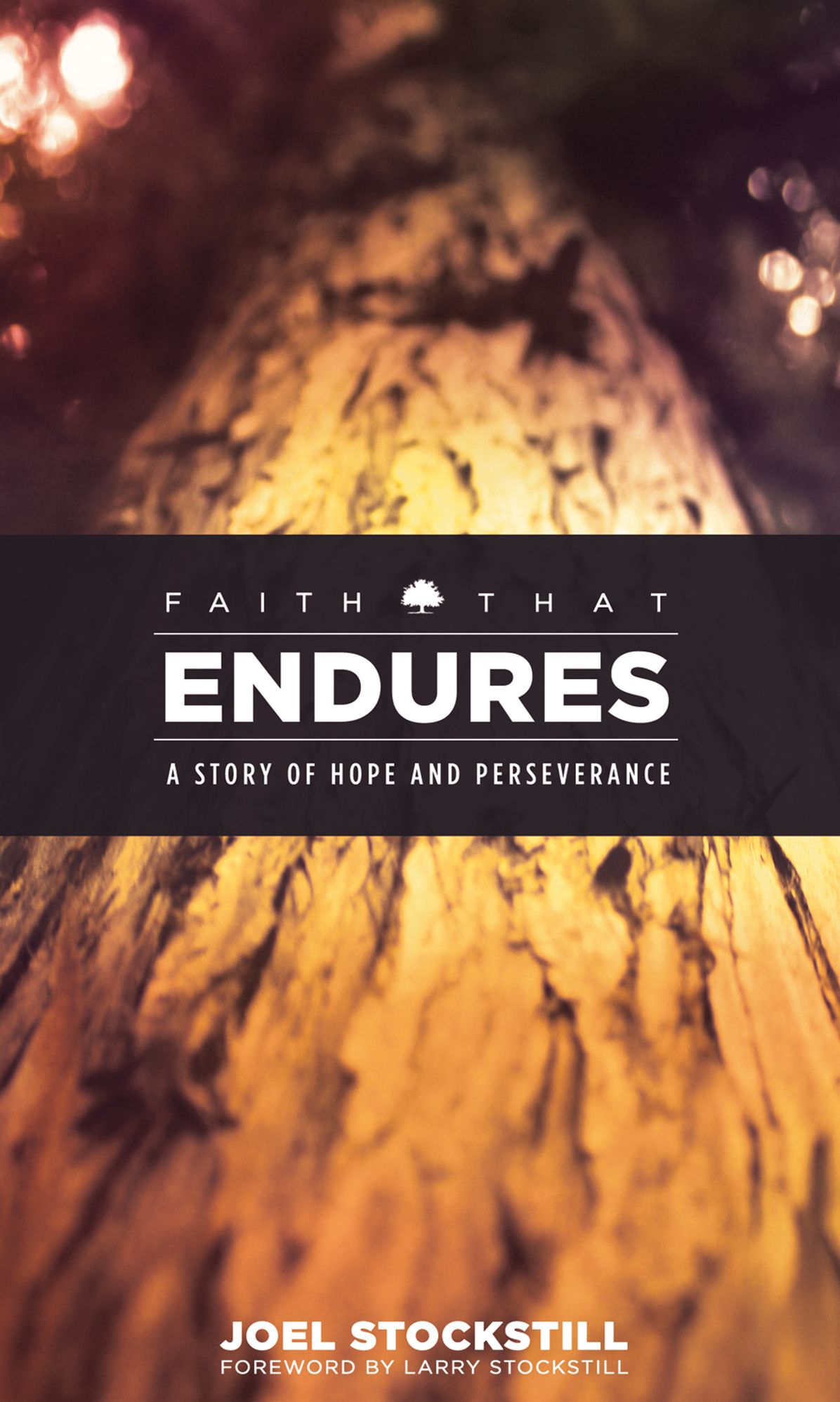 Faith That Endures: A Story of Hope and Perseverance