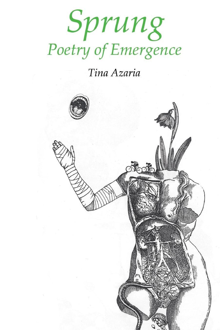 Sprung: Poetry of Emergence