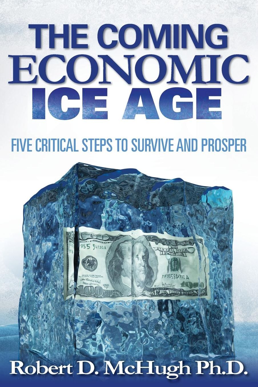 Five Critical Steps to Survive and Prosper in the Coming Economic Ice Age