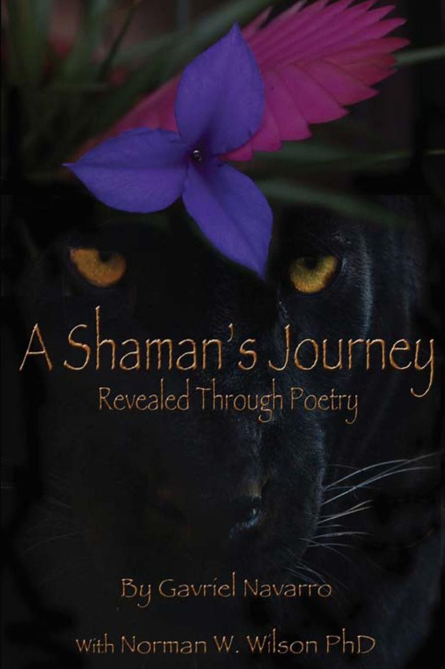 A Shaman's Journey Revealed Through Poetry