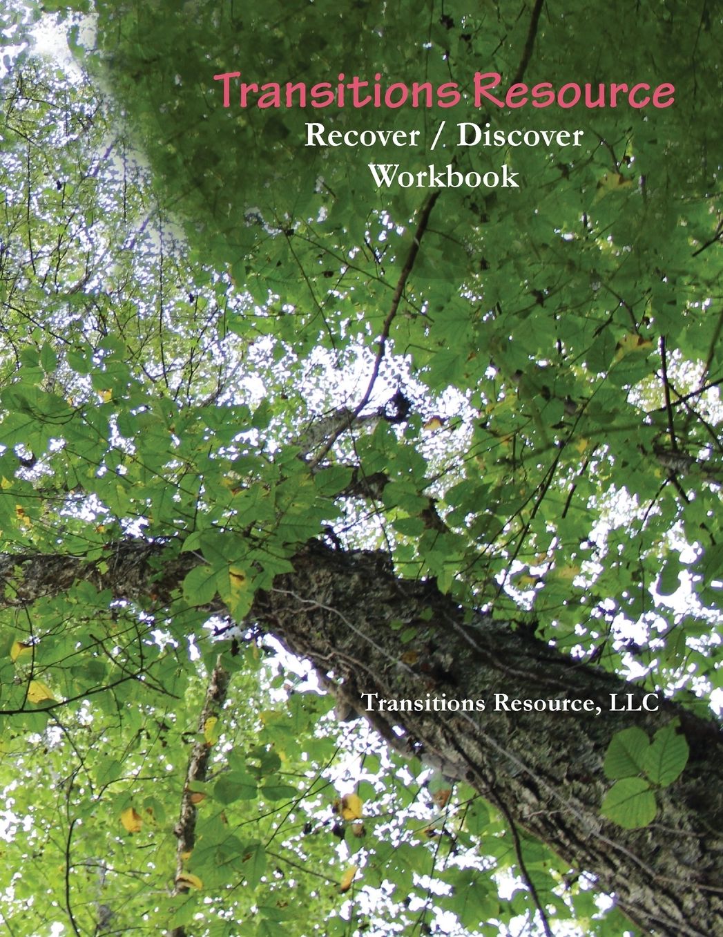 Transitions Resource: Recover / Discover Workbook