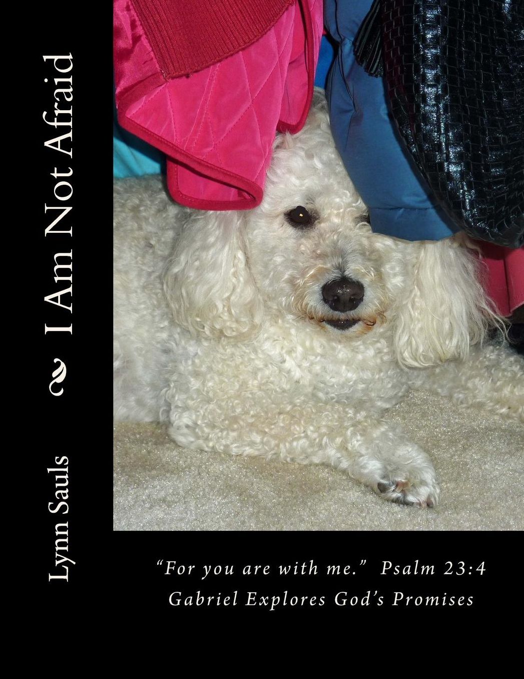 I Am Not Afriad: "For you are with me." Psalm 23:4 Gabriel Explores God's Promises