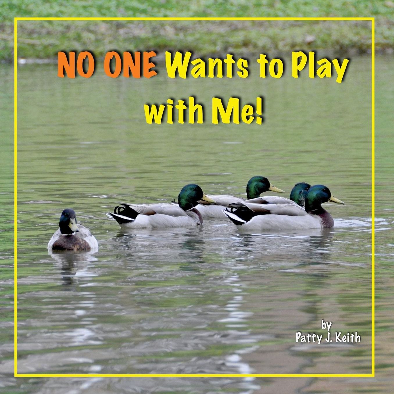 No One Wants to Play with Me!: Duck Ponder Series