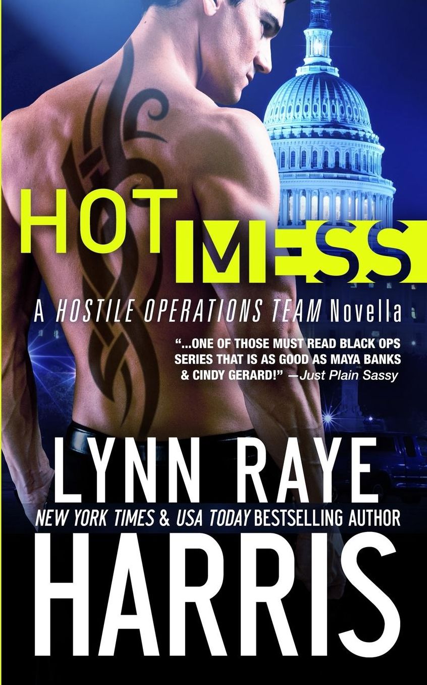 Hot Mess: A Hostile Operations Team Novella