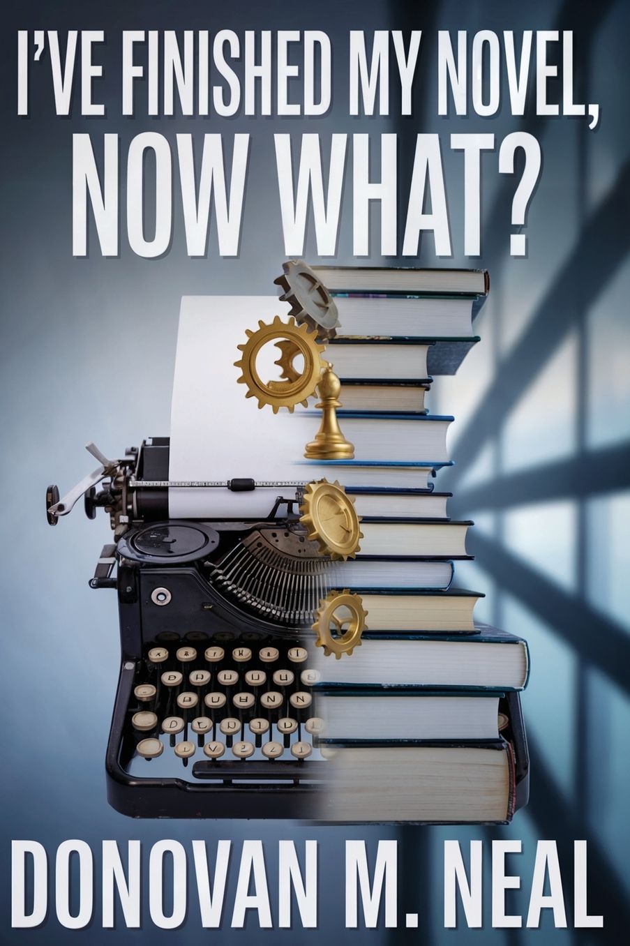 I've Finished My novel: Now What?
