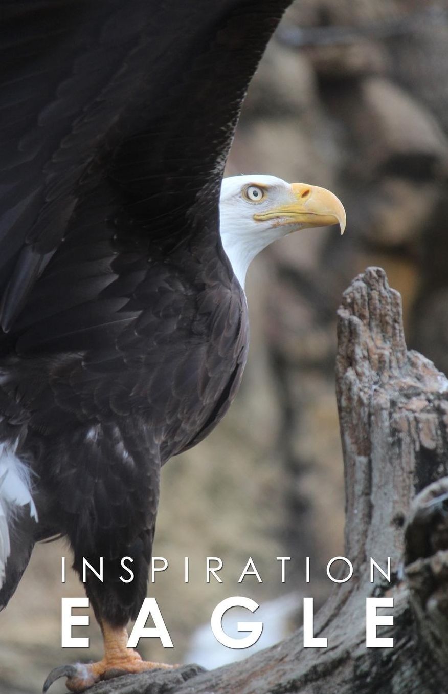 Inspiration Eagle: Notebook Inspiration Pad