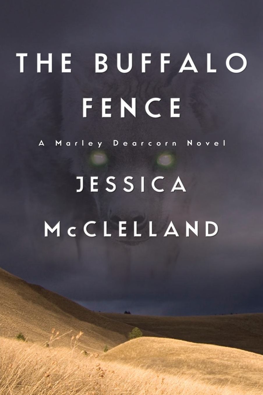 The Buffalo Fence
