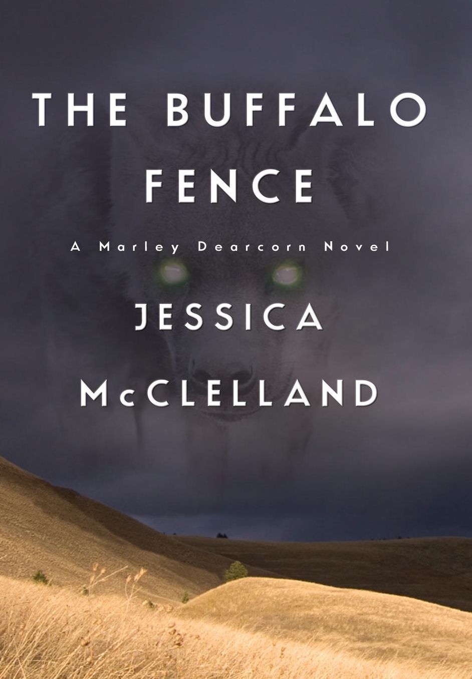The Buffalo Fence