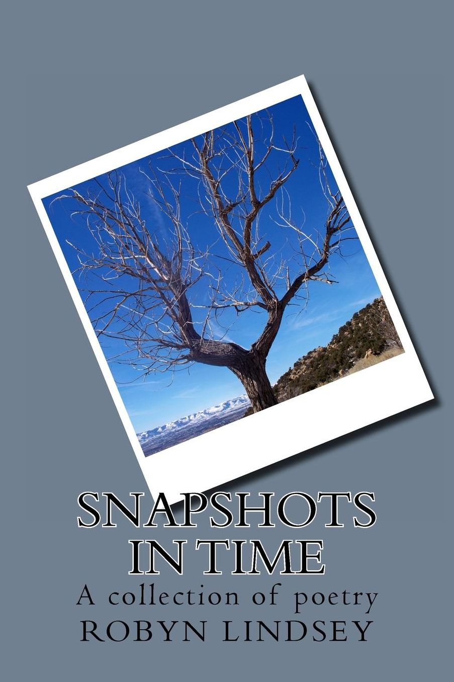 Snapshots In Time
