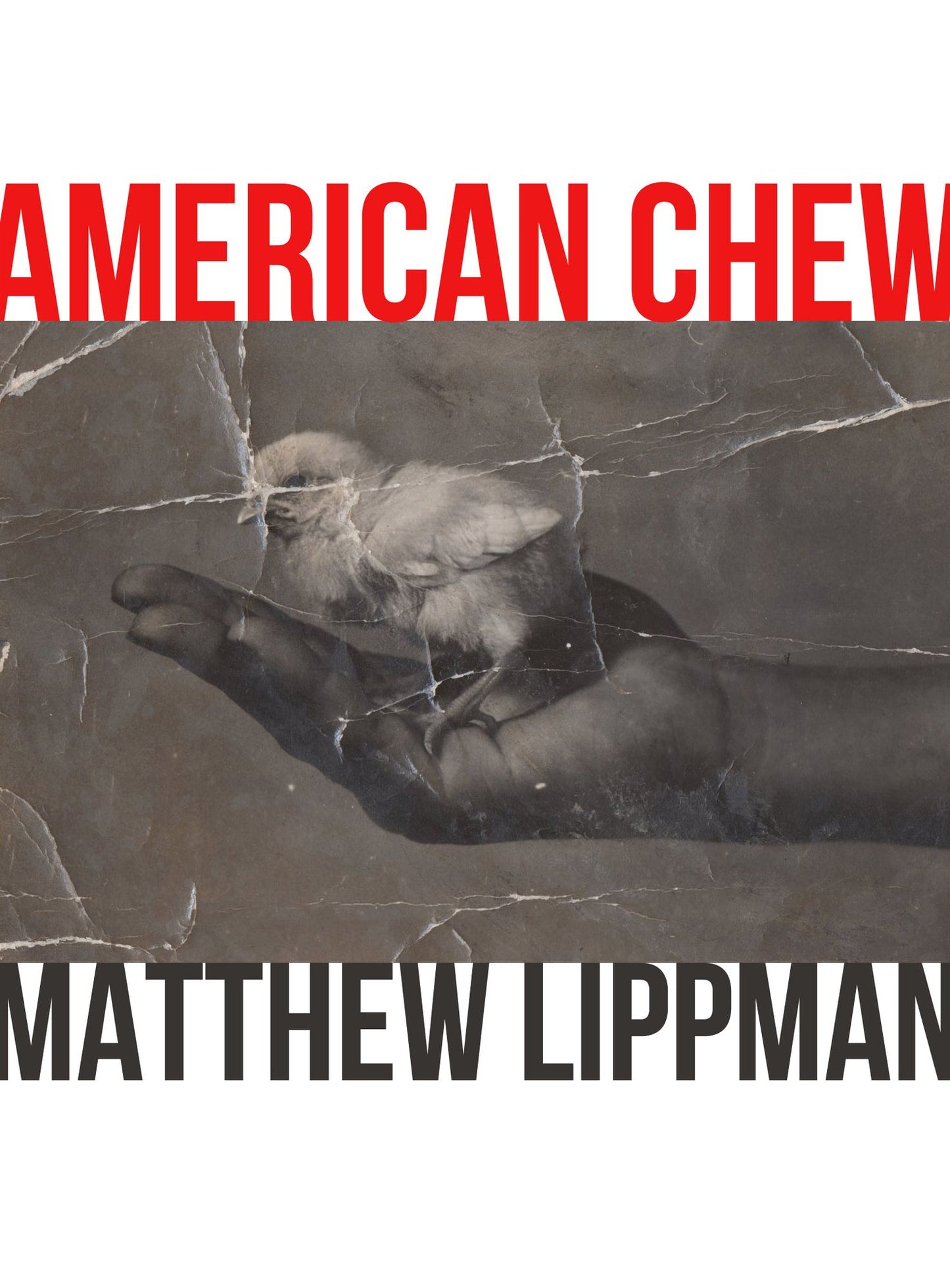 American Chew