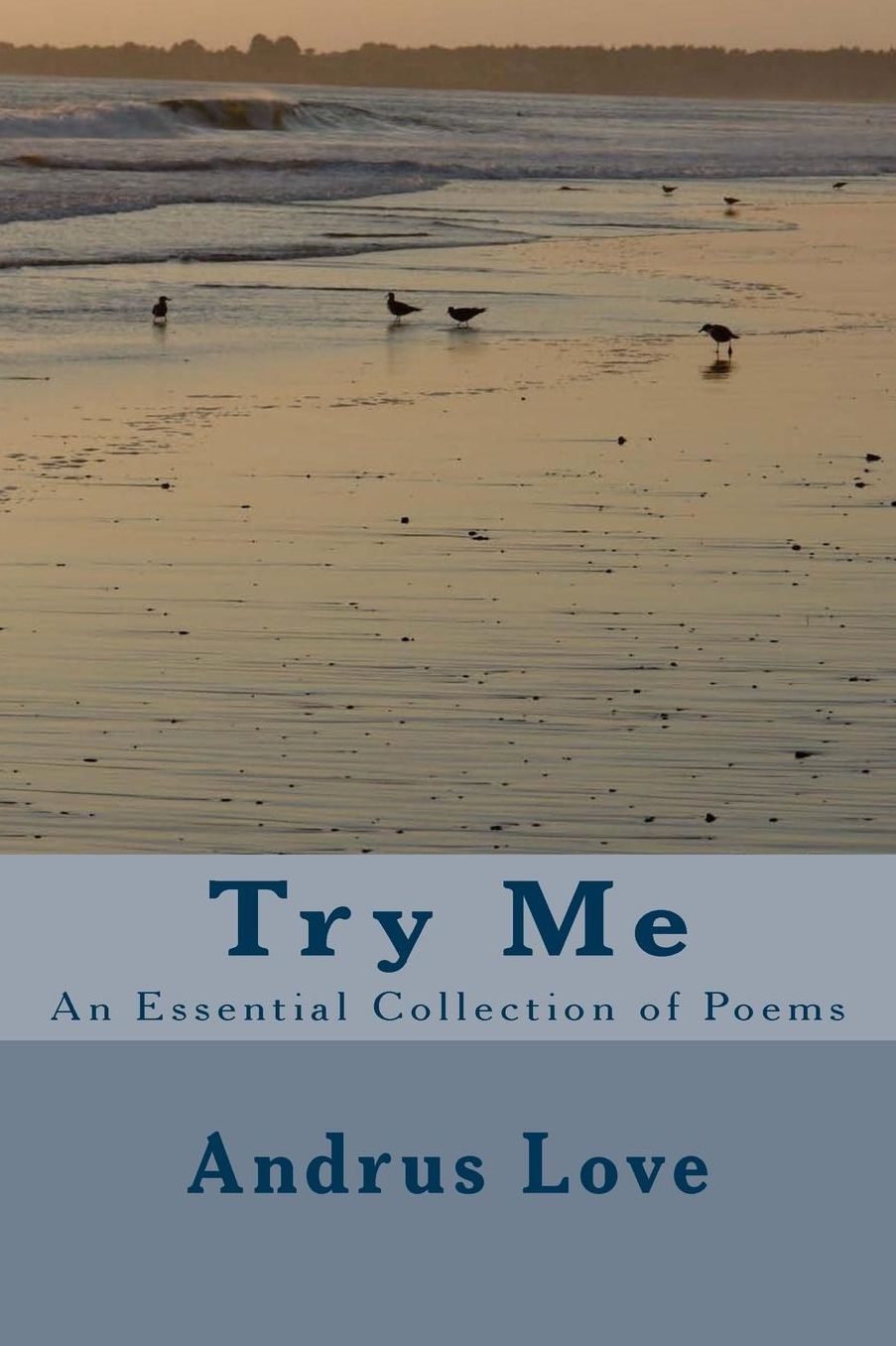 Try Me: An Essential Collection of Poems