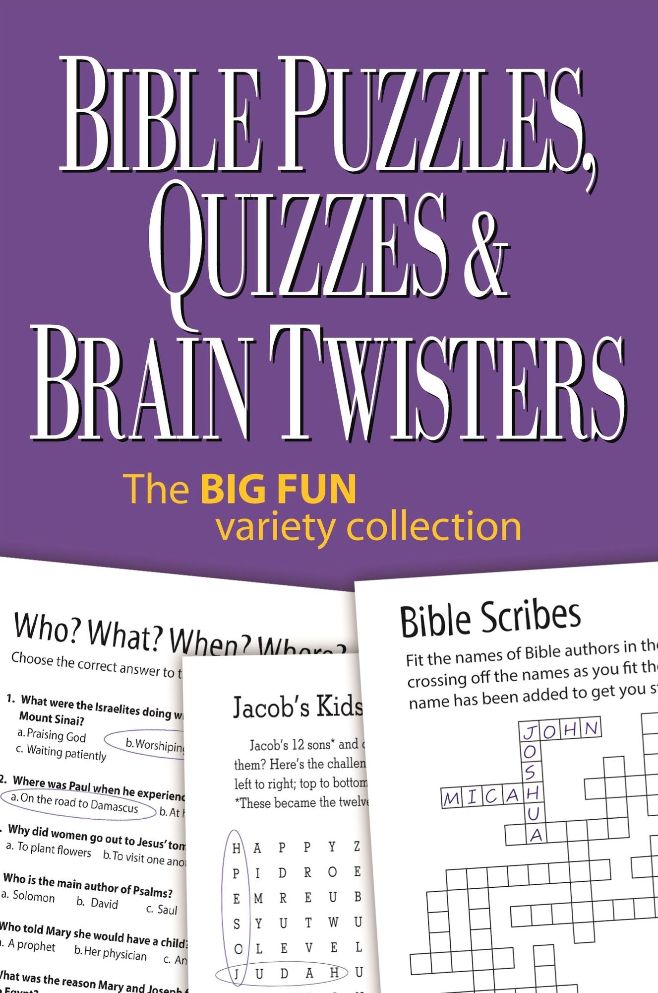 Bible Puzzles, Quizzes & Brain Twisters: The Big Fun Variety Collection