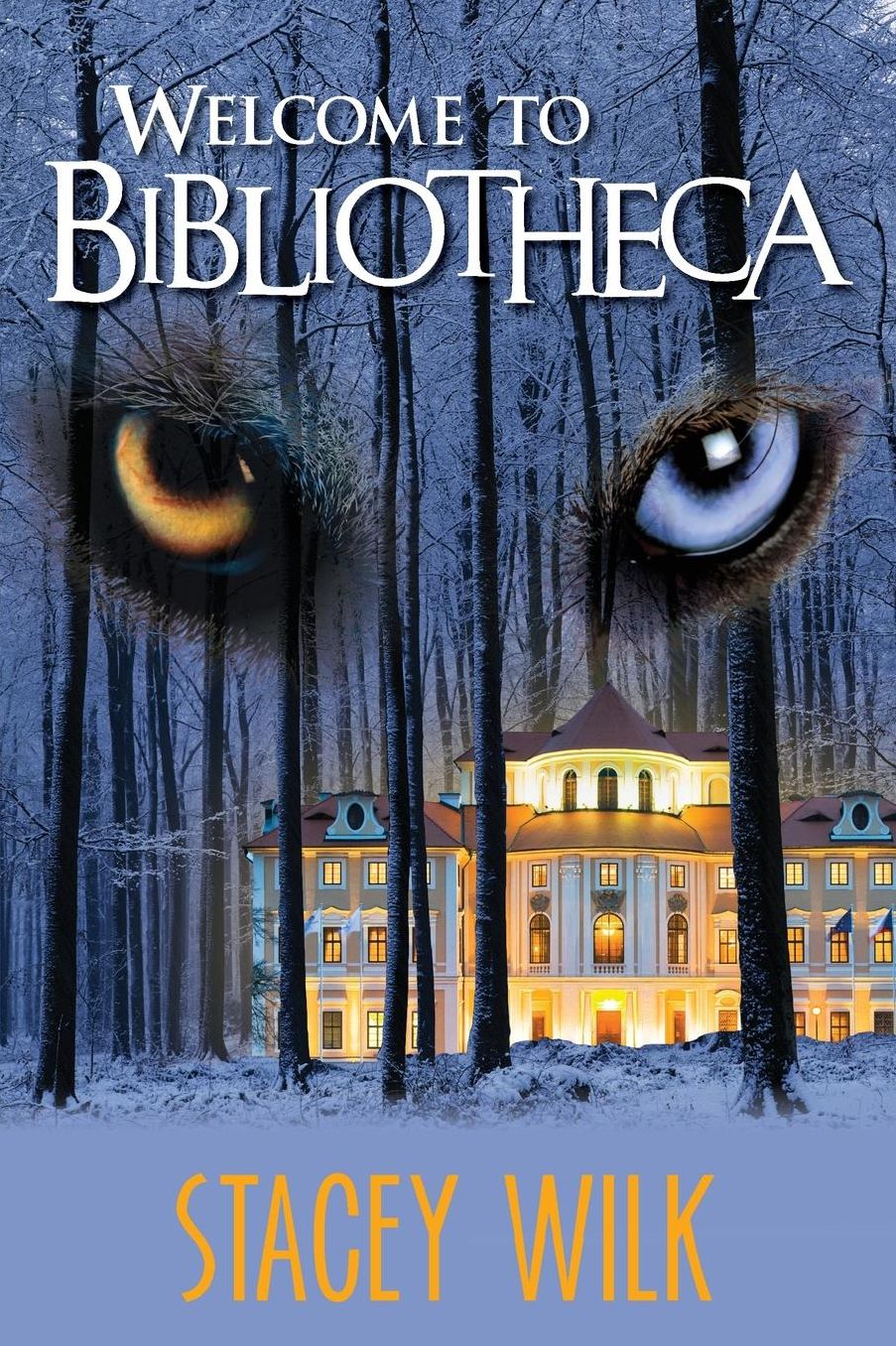 Welcome To Bibliotheca