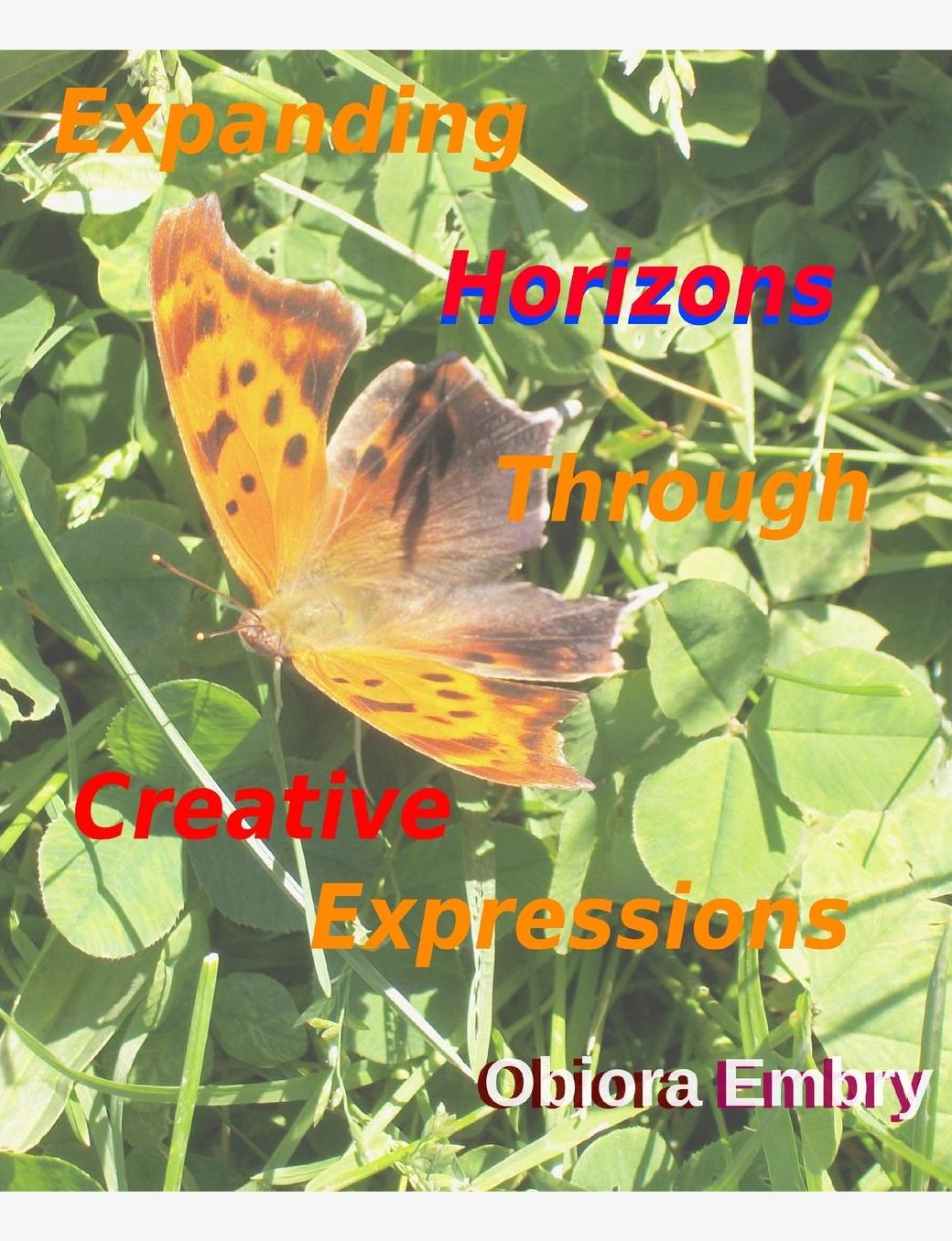 Expanding Horizons Through Creative Expressions