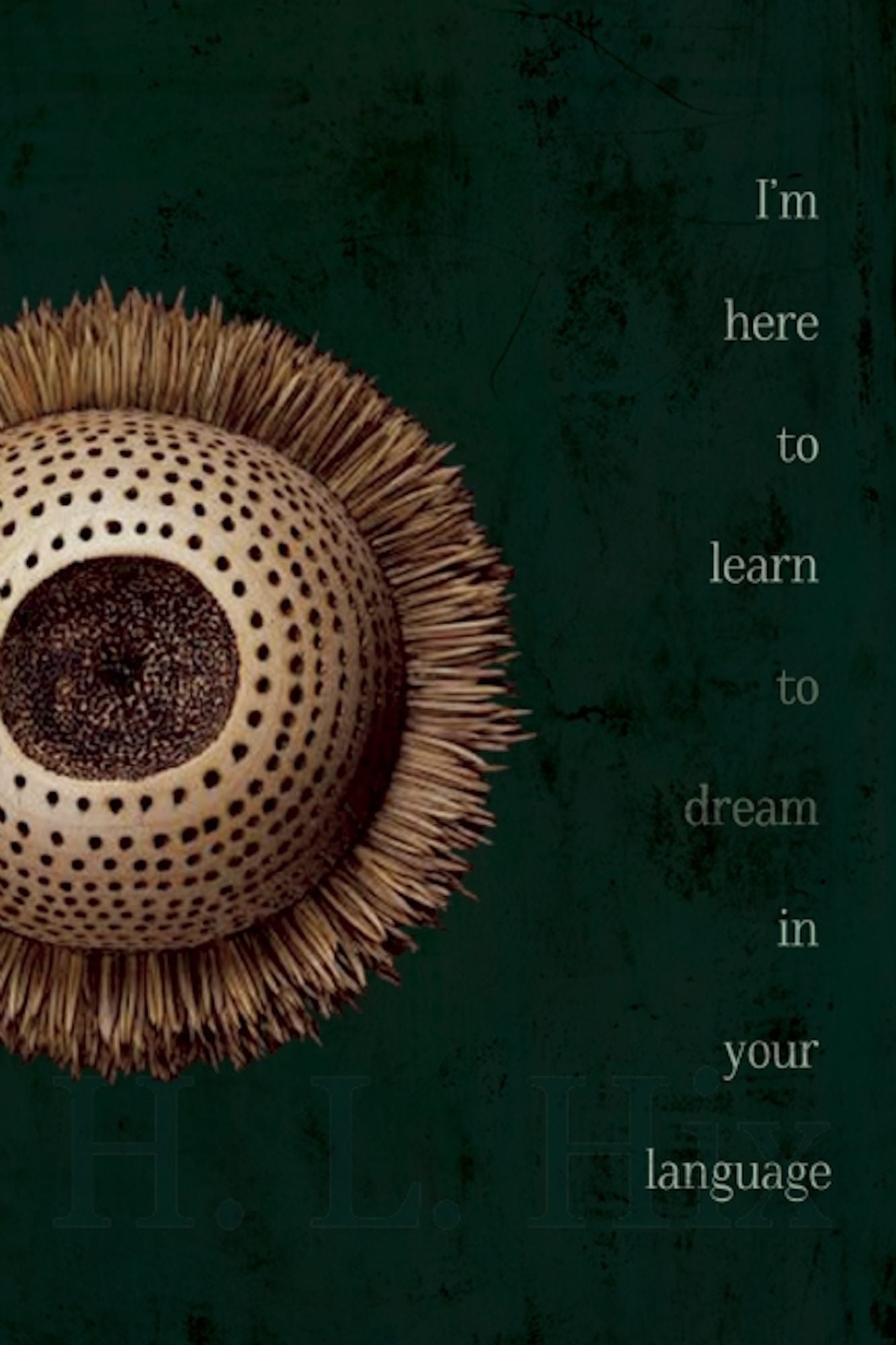 I'm here to learn to dream in your language