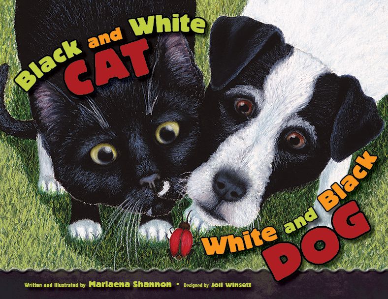 Black and White Cat, White and Black Dog