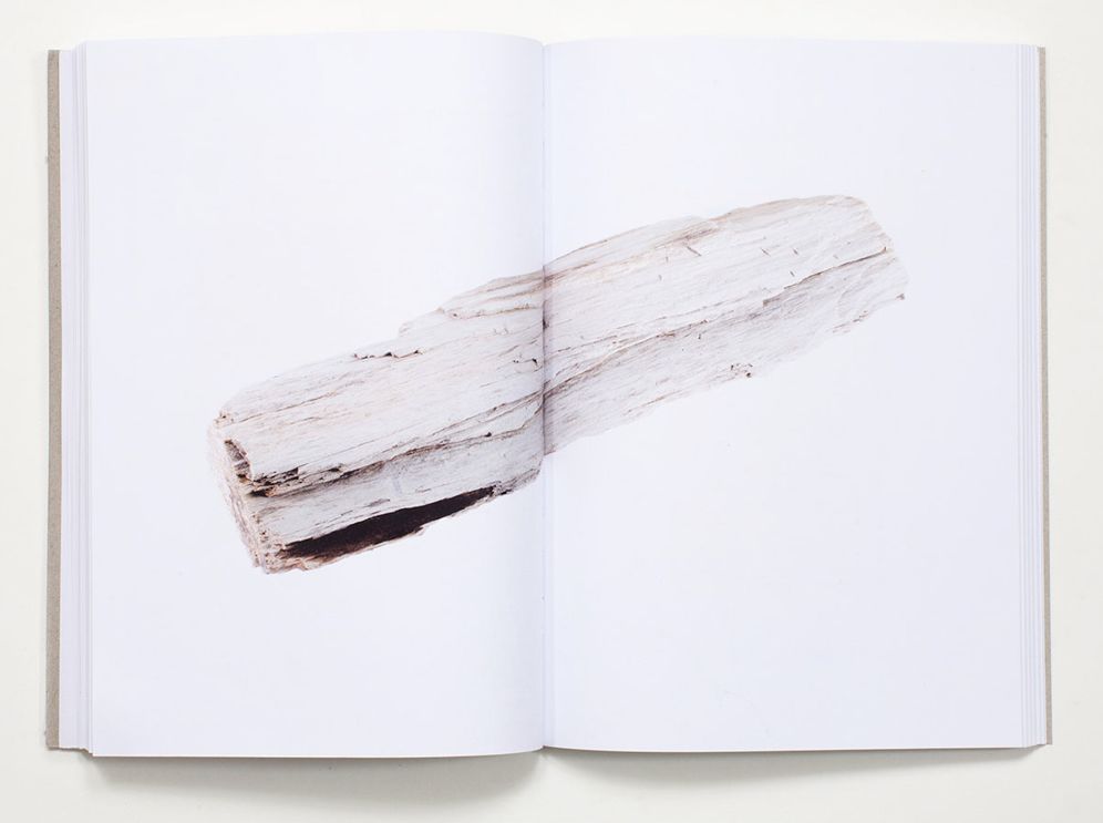 Bad Luck, Hot Rocks: Conscience Letters and Photographs from the Petrified Forest