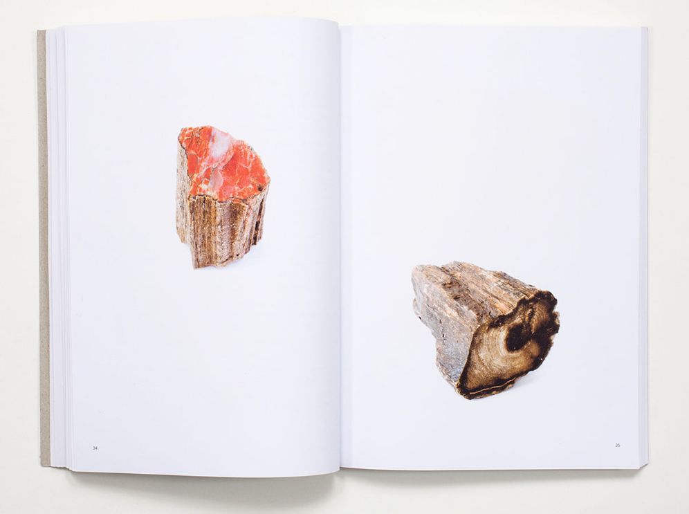 Bad Luck, Hot Rocks: Conscience Letters and Photographs from the Petrified Forest