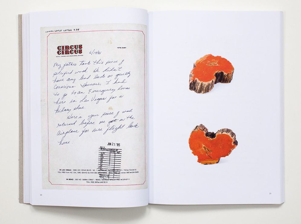 Bad Luck, Hot Rocks: Conscience Letters and Photographs from the Petrified Forest