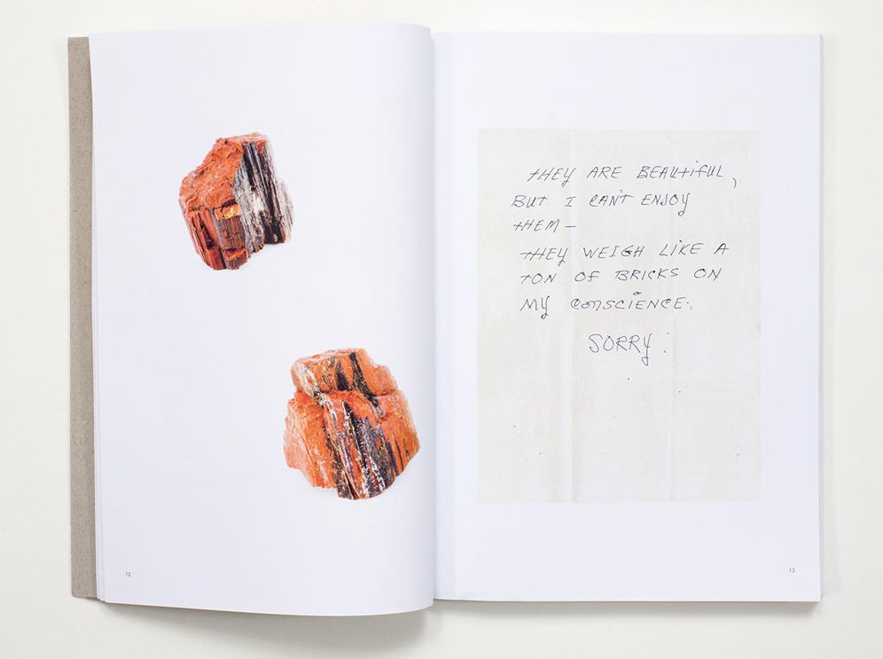 Bad Luck, Hot Rocks: Conscience Letters and Photographs from the Petrified Forest