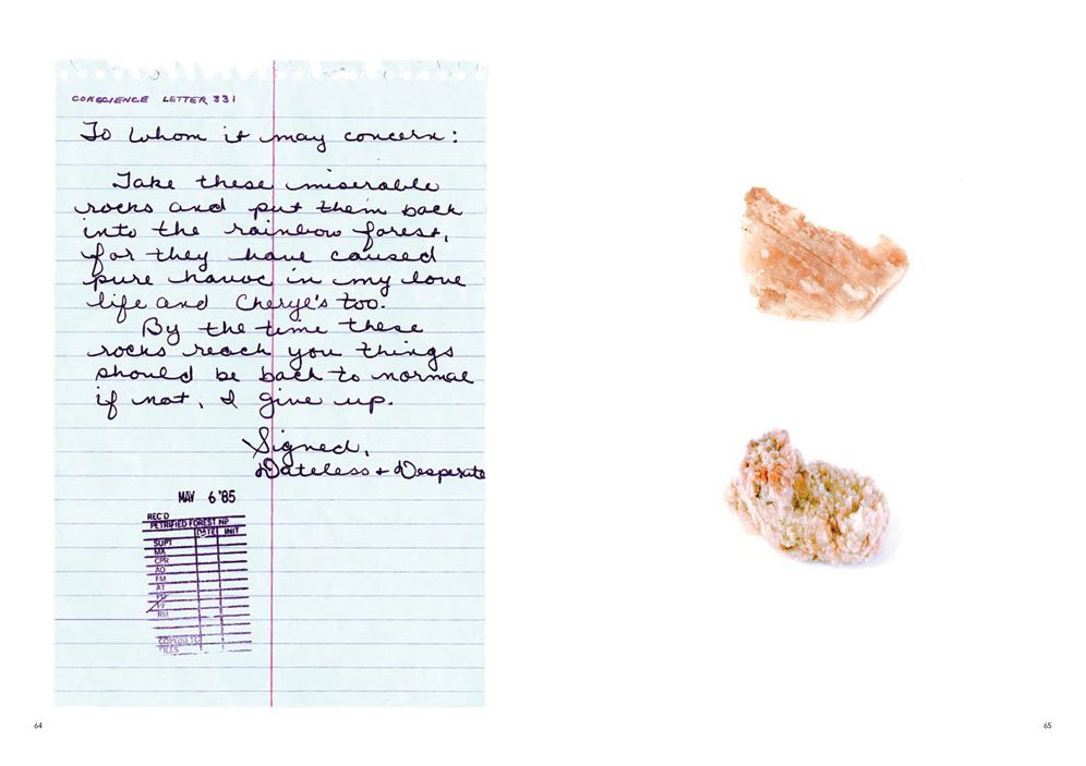 Bad Luck, Hot Rocks: Conscience Letters and Photographs from the Petrified Forest