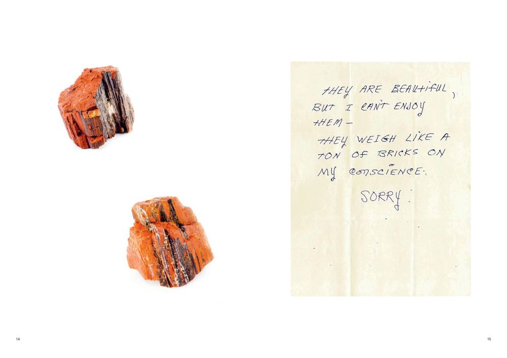 Bad Luck, Hot Rocks: Conscience Letters and Photographs from the Petrified Forest
