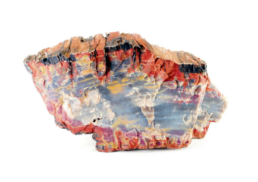 Bad Luck, Hot Rocks: Conscience Letters and Photographs from the Petrified Forest