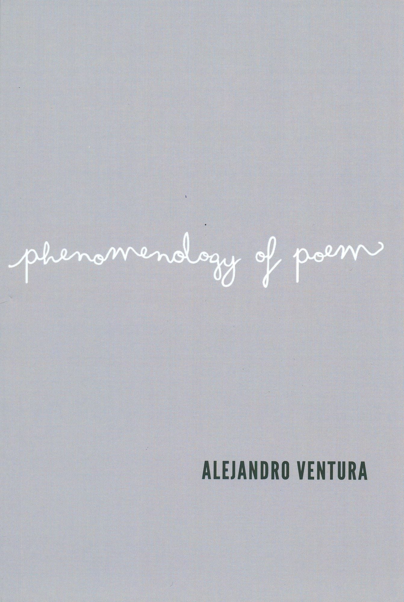 Phenomenology of Poem