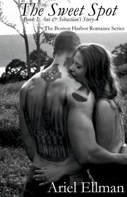 The Sweet Spot: Book 1: Ani and Sebastian's Story