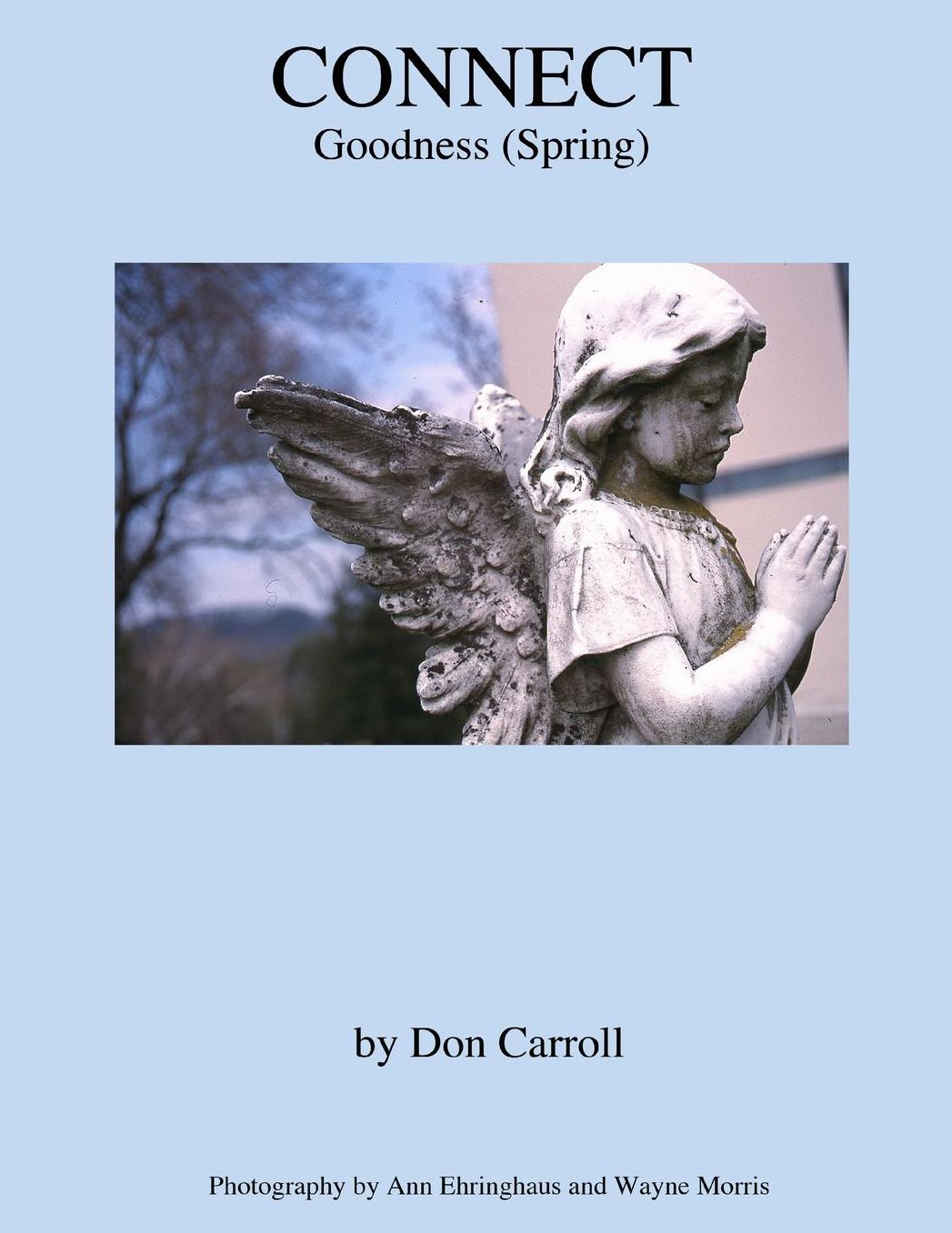 Connect: Goodness (Spring)