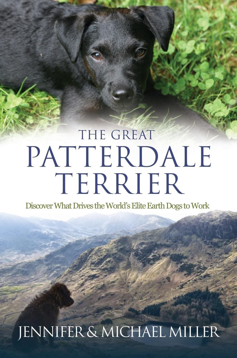 The Great Patterdale Terrier