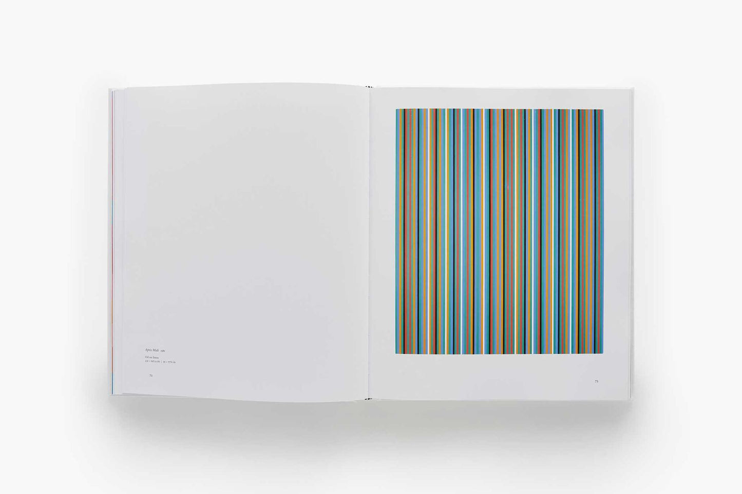 Bridget Riley: The Stripe Paintings 1961-2014