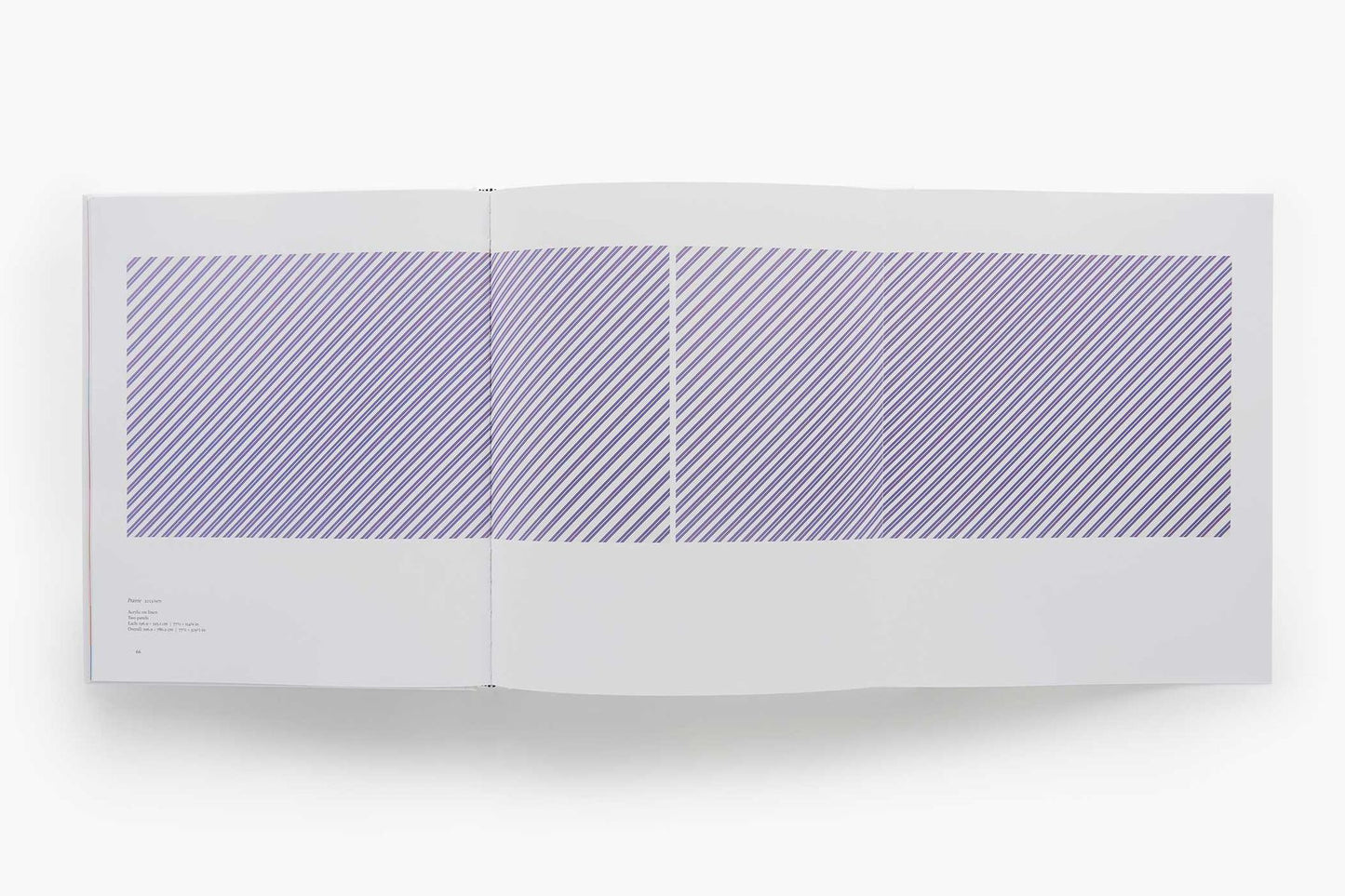 Bridget Riley: The Stripe Paintings 1961-2014