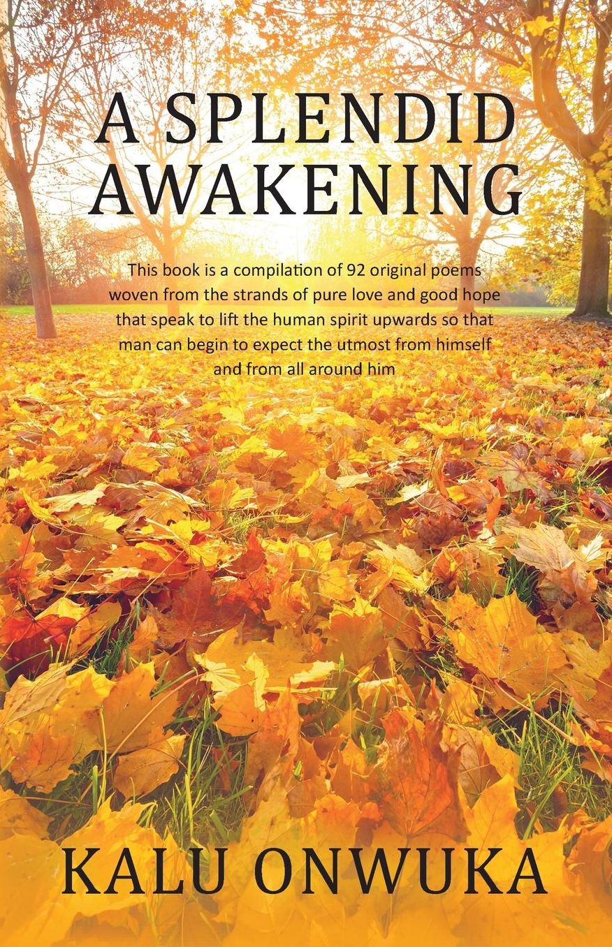 A Splendid awakening