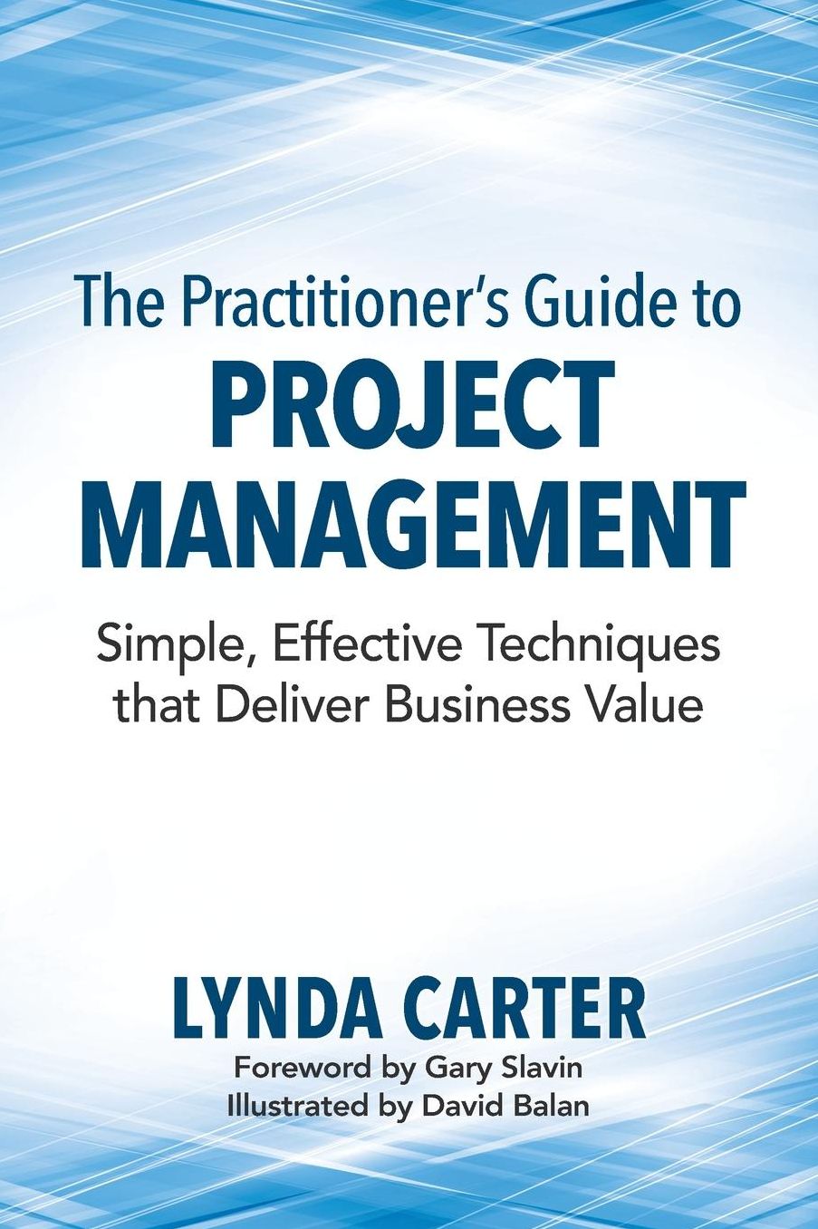 Practitioner's Guide to Project Management: Simple, Effective Techniques That Deliver Business Value