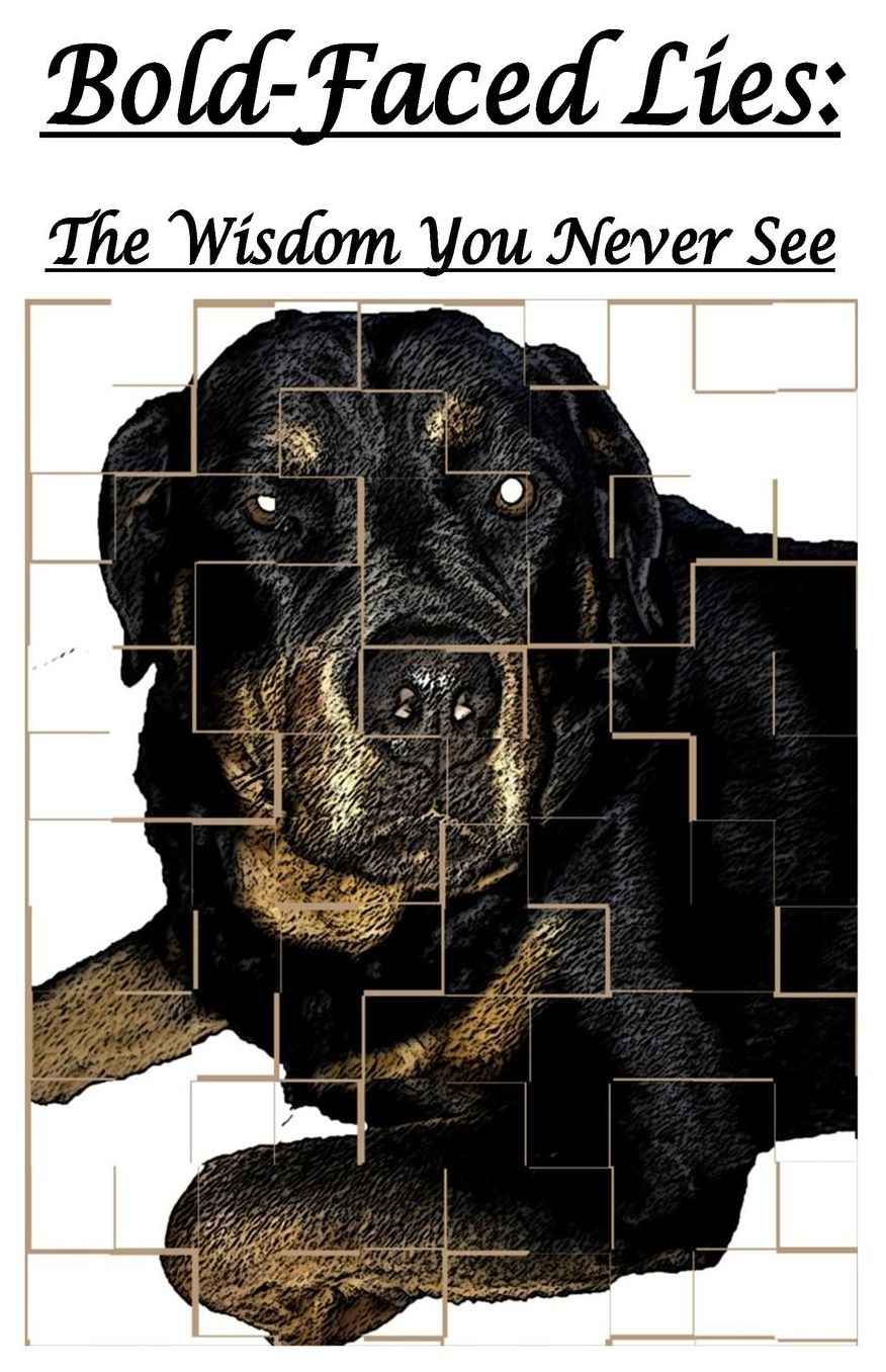 Bold-Faced Lies: The Wisdom You Never See