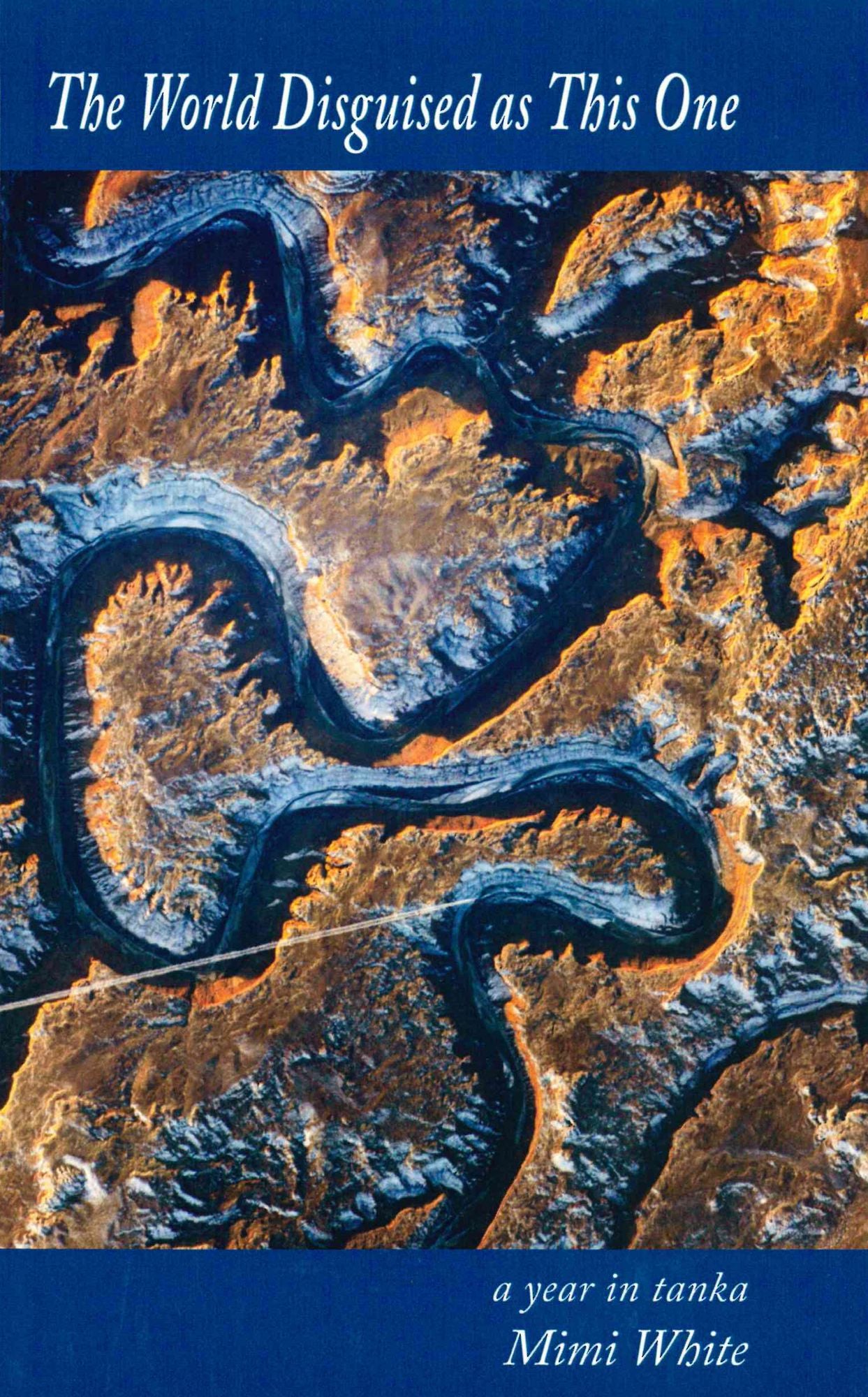 The World Disguised as This One; a year in tanka