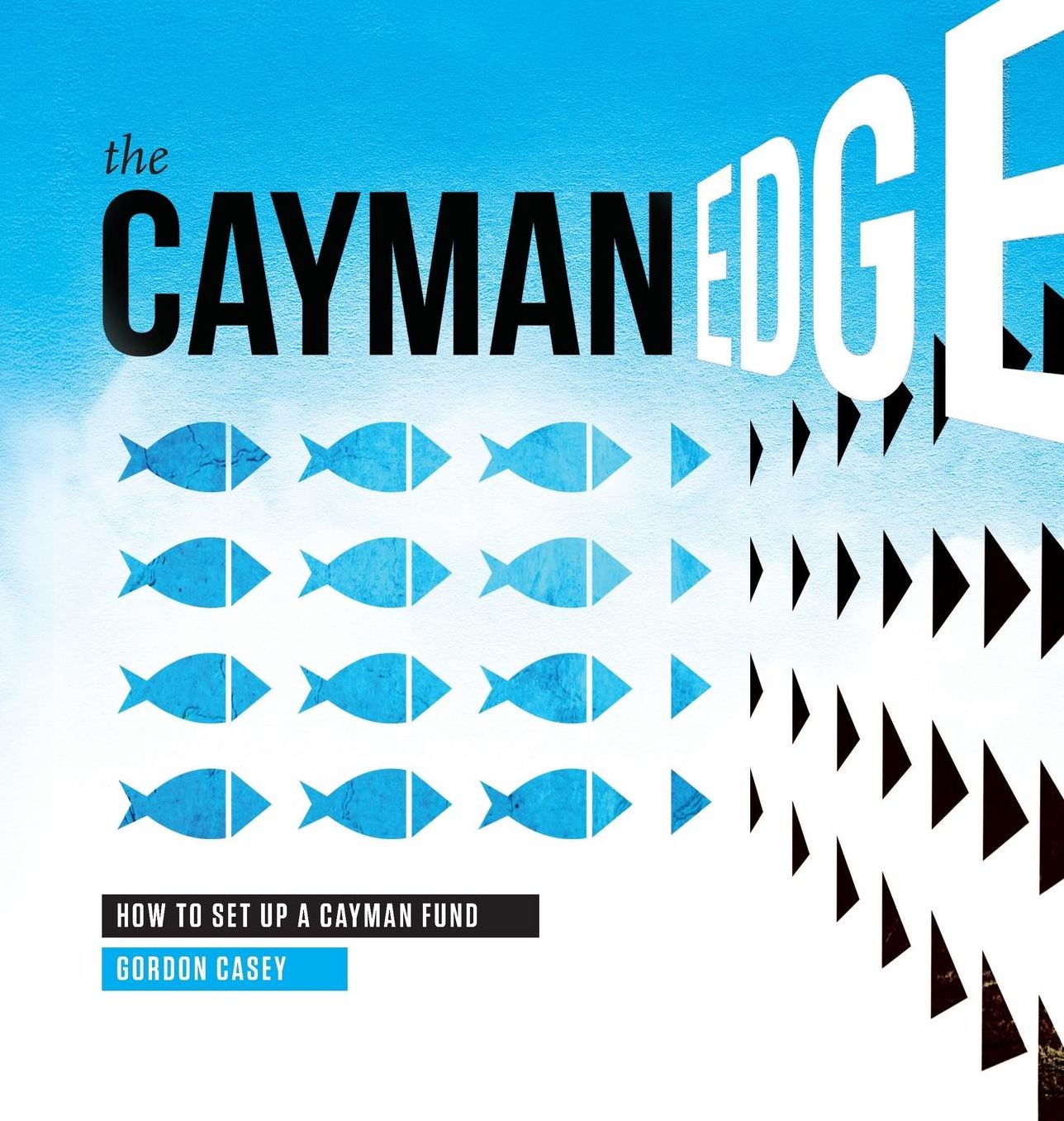 The Cayman Edge: How to Set Up a Cayman Fund