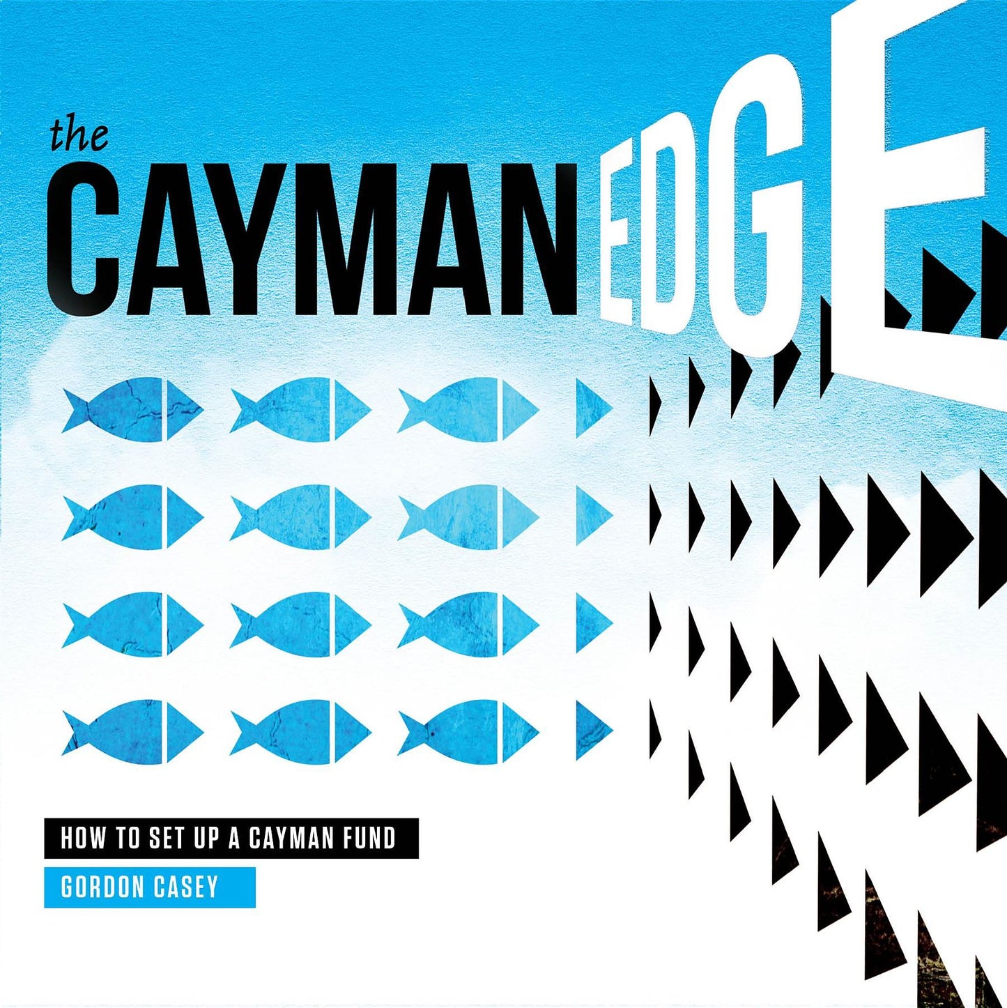 The Cayman Edge: How to Set Up a Cayman Fund