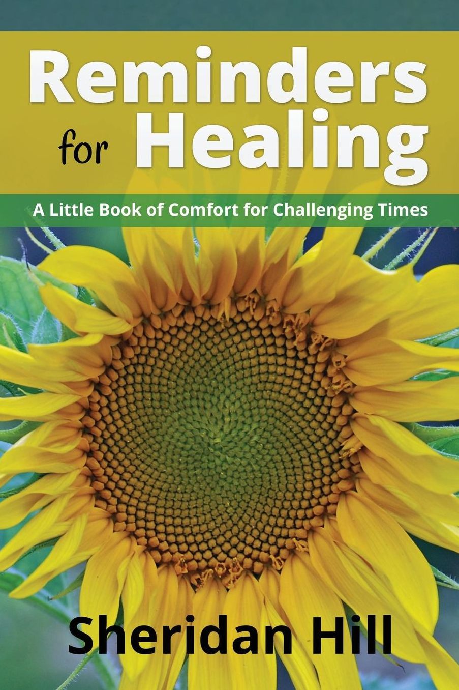 Reminders for Healing: A Little Book of Comfort for Challenging Times
