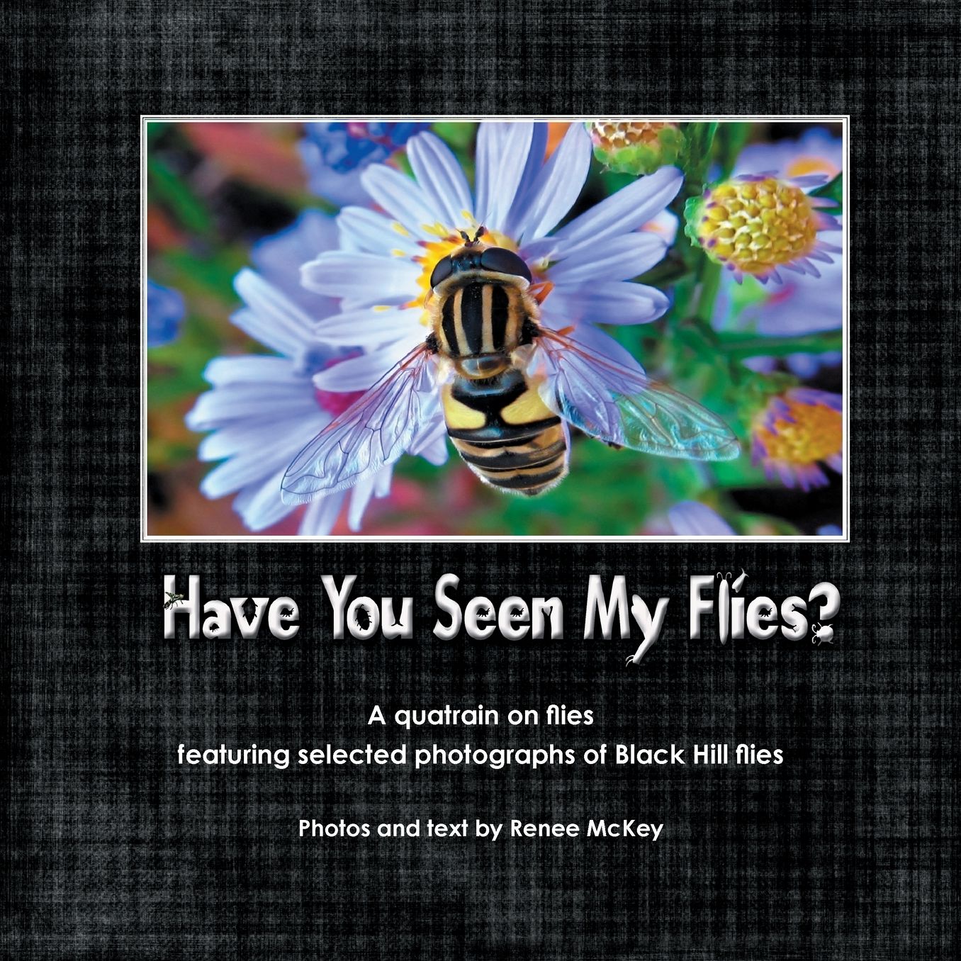 Have You Seen My Flies?: A quatrain on flies featuring selected photographs of the Black Hill flies