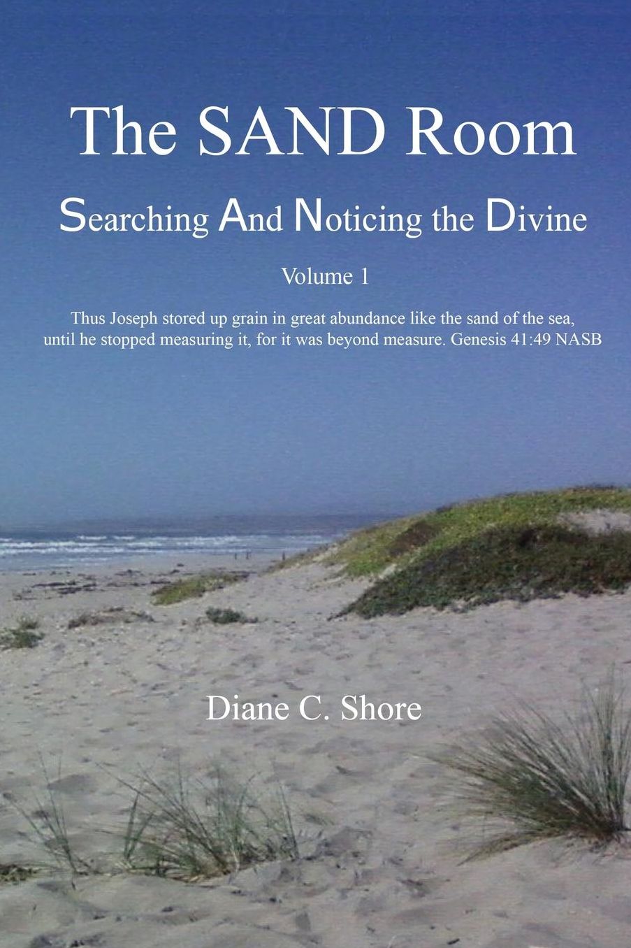 The SAND Room Vol. 1: Searching And Noticing the Divine