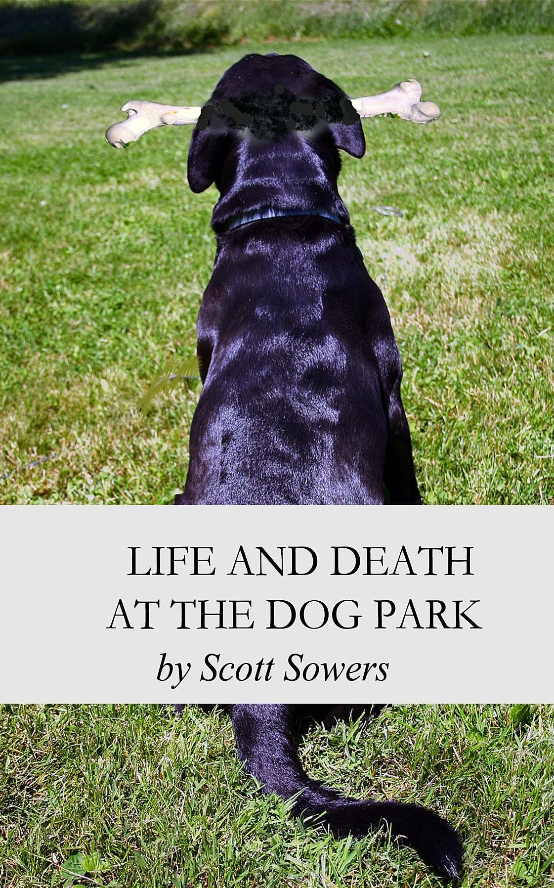 Life and Death at the Dog Park