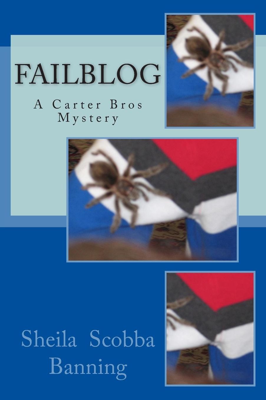 Failblog: A Carter Bros Mystery