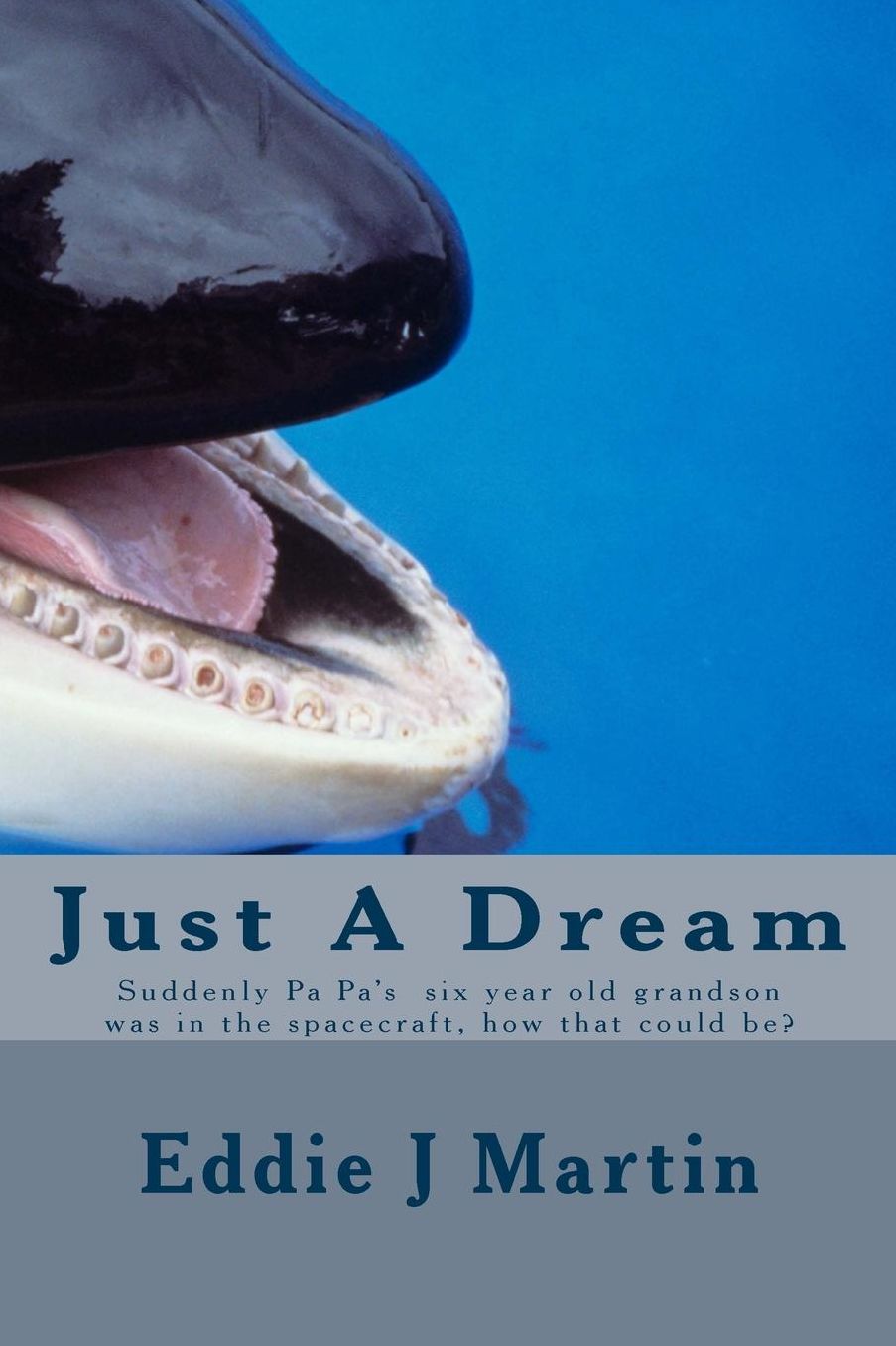 Just A Dream: Suddenly PA PA six year old grandson was in the spacecraft, how that could be?