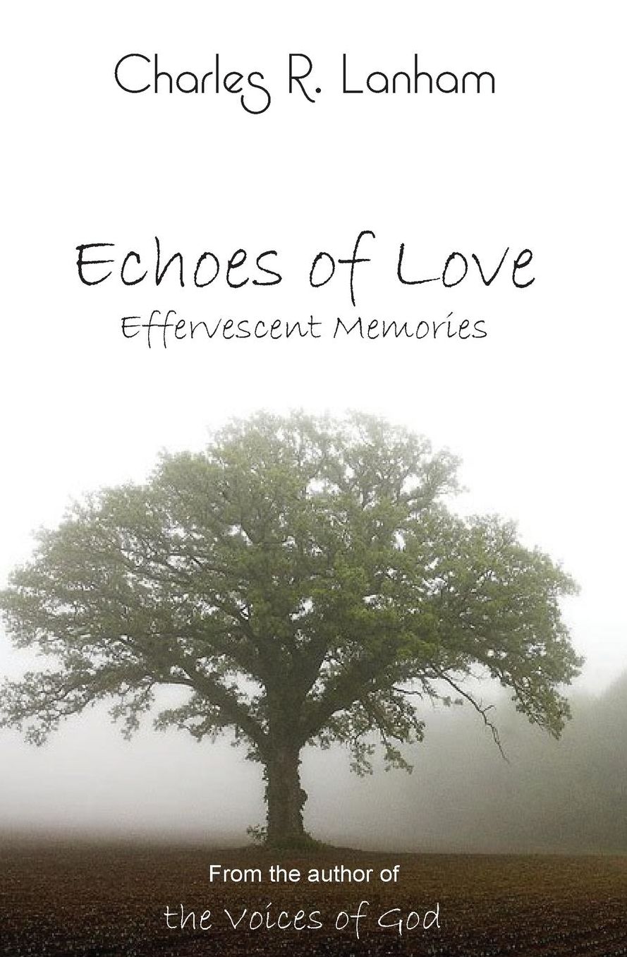 Echoes of Love: Effervescent Memories