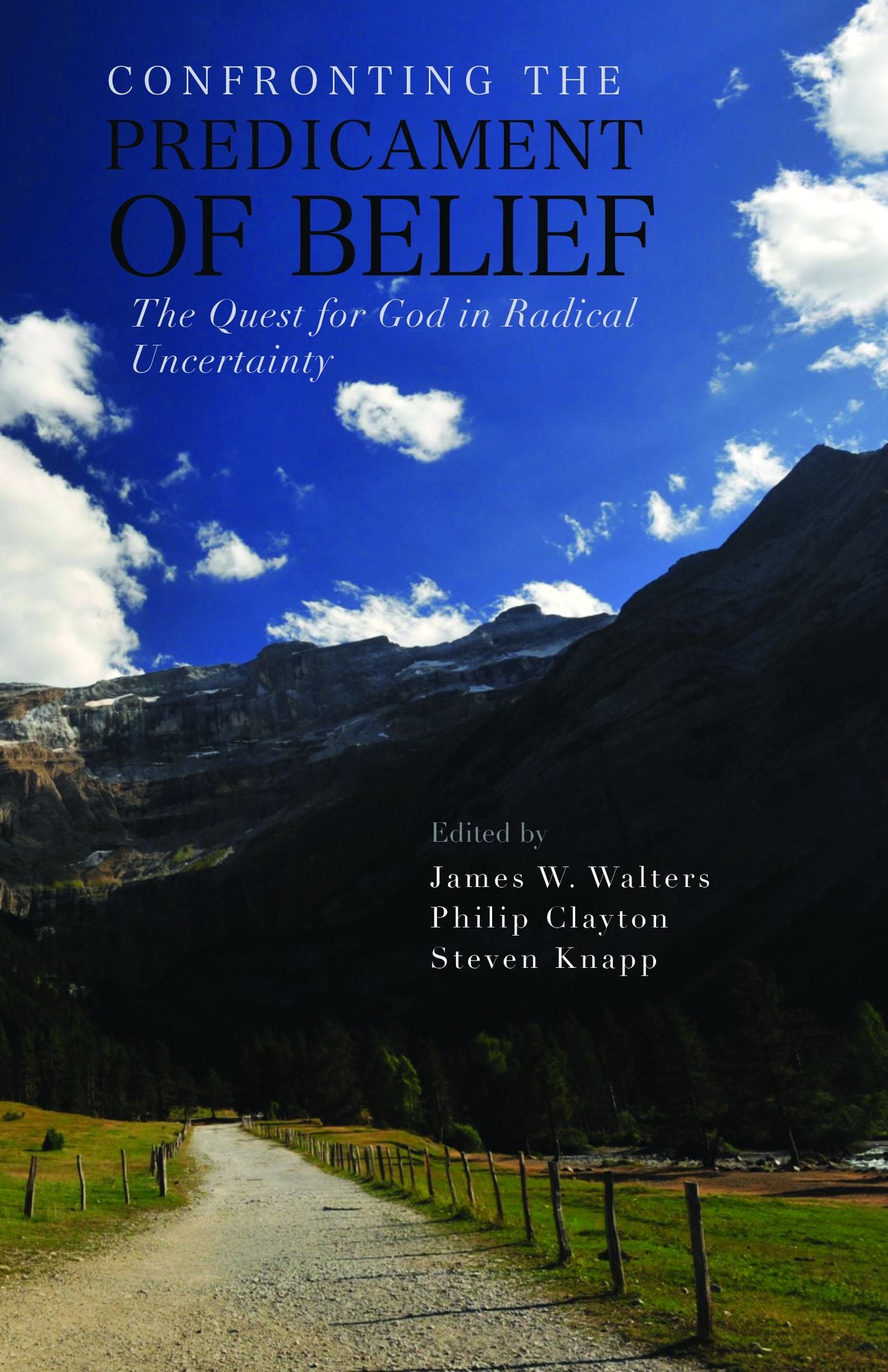 Confronting the Predicament of Belief: The Quest for God in Radical Uncertainty