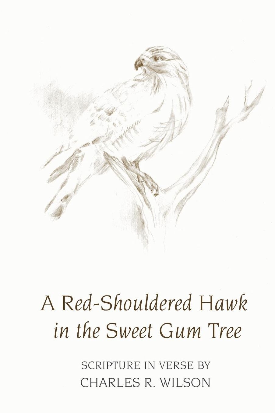 A Red-Shouldered Hawk In The Sweet Gum Tree: Scripture in Verse