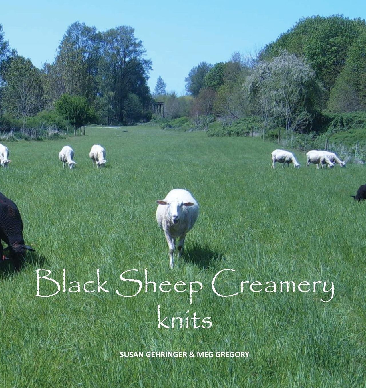 Black Sheep Creamery knits